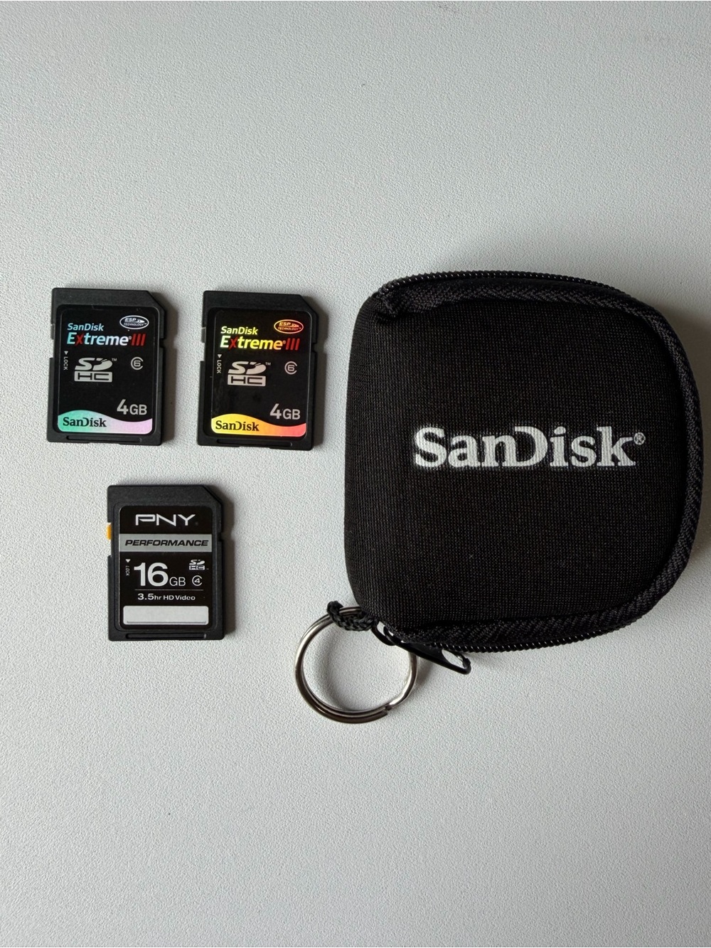 SanDisk Memory Card bundle 3 SanDisk 16GB memory card 4GB memory card with Case